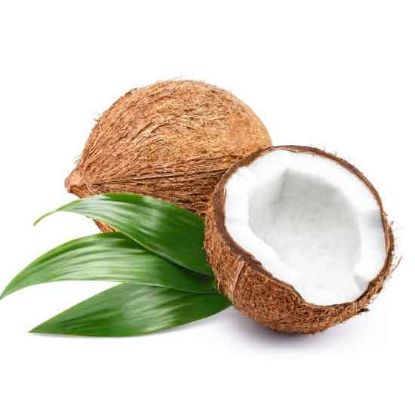 Picture of Coconut. 1 pc.