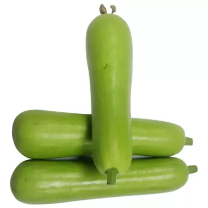 Picture of Bottle Gourd (సొరకాయ) - 500g